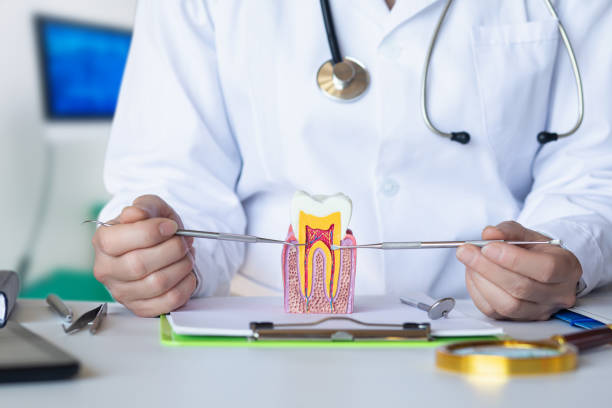Best Weekend Emergency Dental Services in Lusk, WY